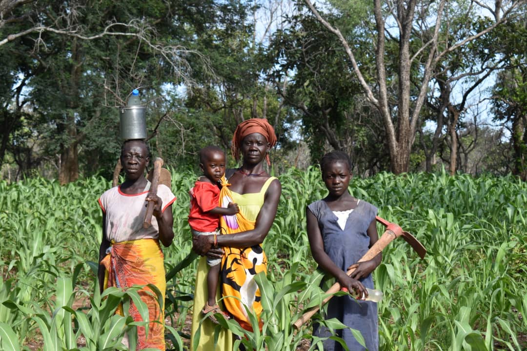 CSCOV Women’s Economic Empowerment & Livelihood